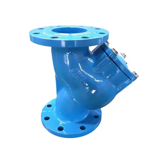 Y Strainer Valve