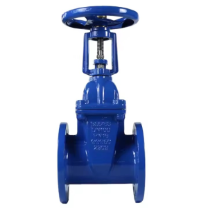 Flange Rising Protective Gate Valve
