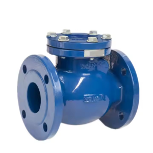Swing Check Valve
