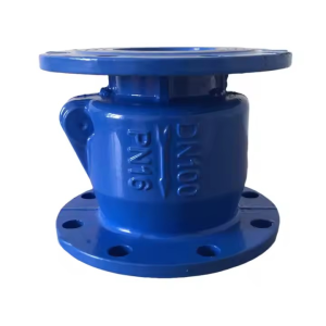 Silent Check Valve Size 2-24